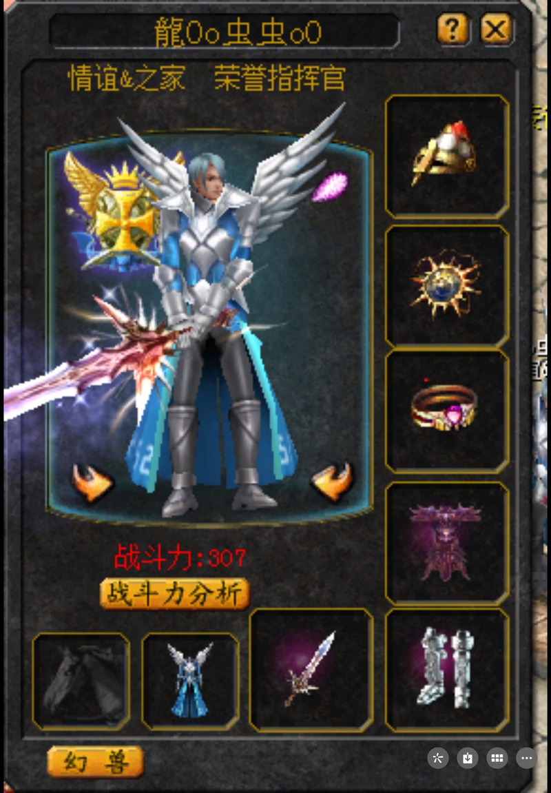 玩私服魔域的独特魅力、游戏特色及多样版本全解析
